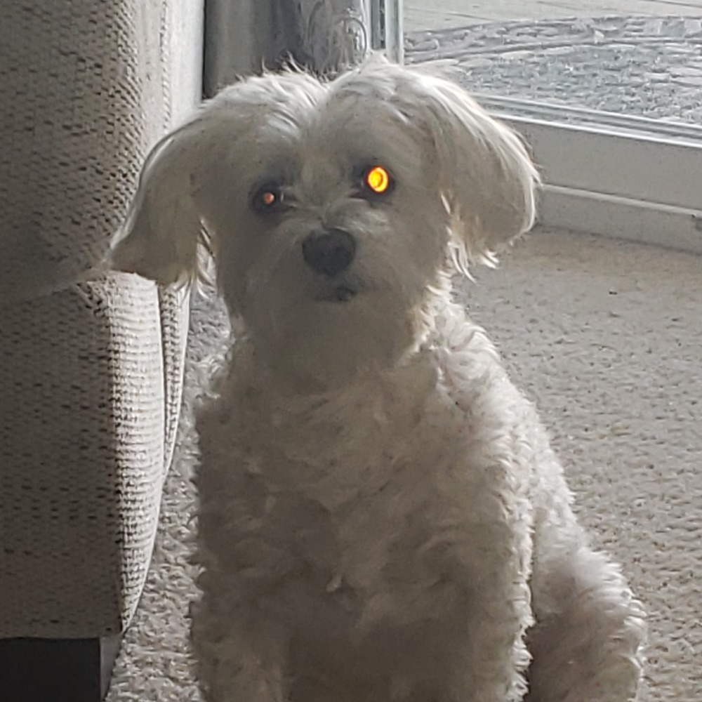 Meet your Posher, Kelly